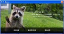 Photo Screen